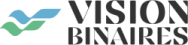 VisionBINaires; Business Intelligence en Data Analytics